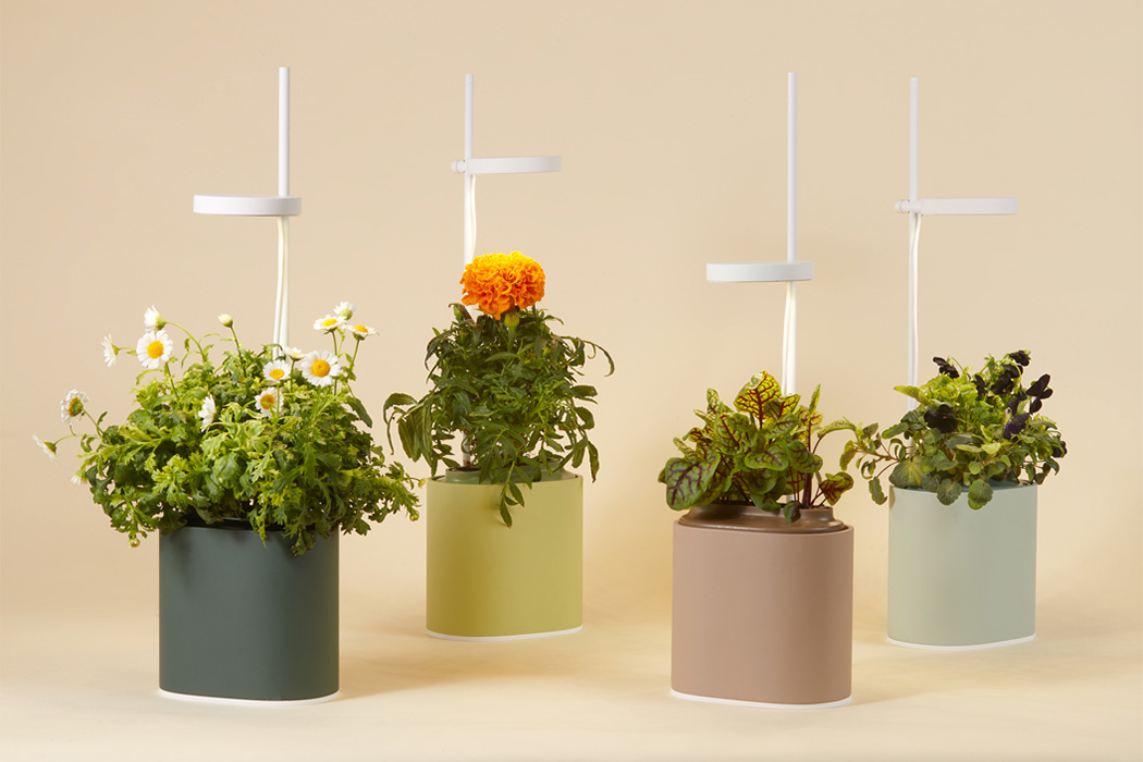 Flowerpot，intelligence，Nano Garden，plant，