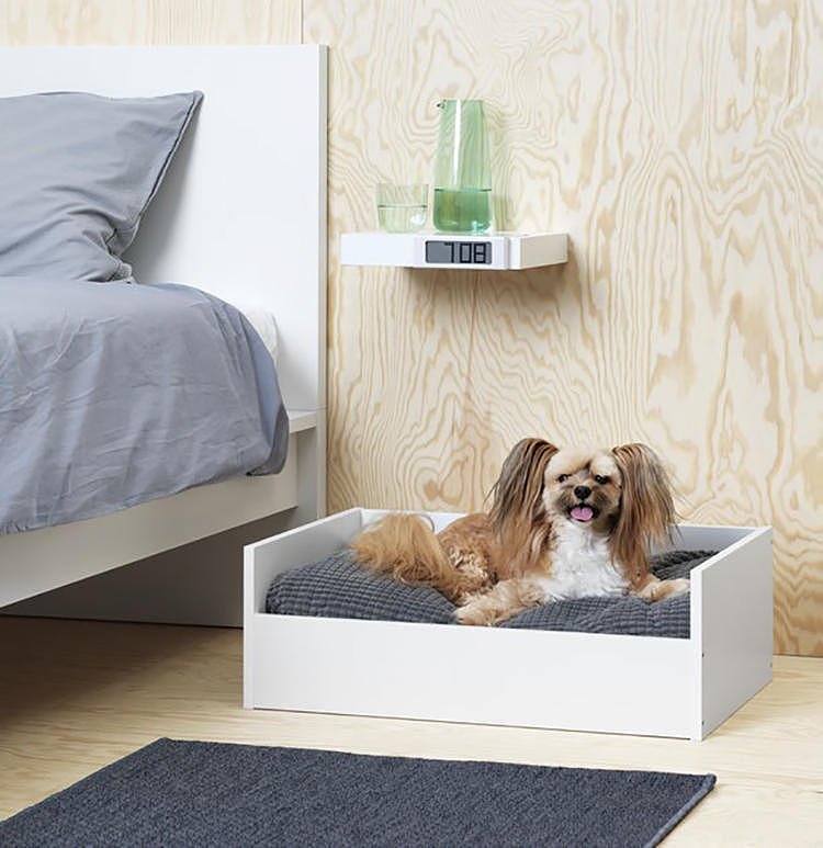 furniture，Pets，LURVIG，IKEA，