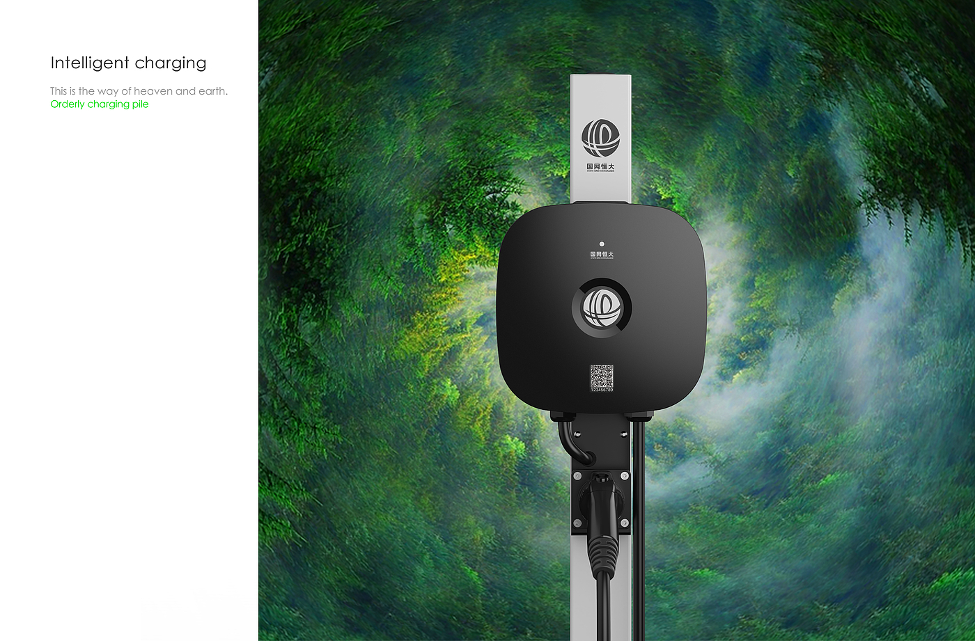 new energy，Orderly charging，