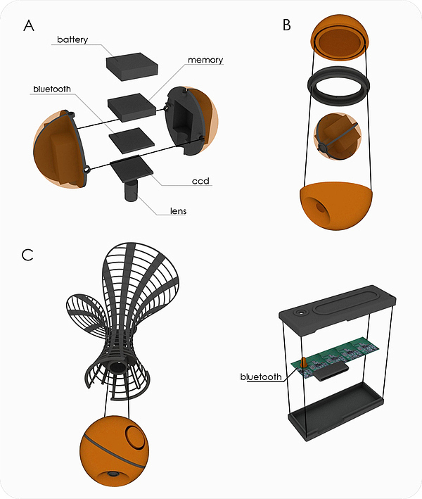 photograph，signal，Bluetooth，Design，