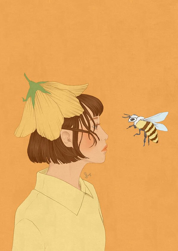 plane，
