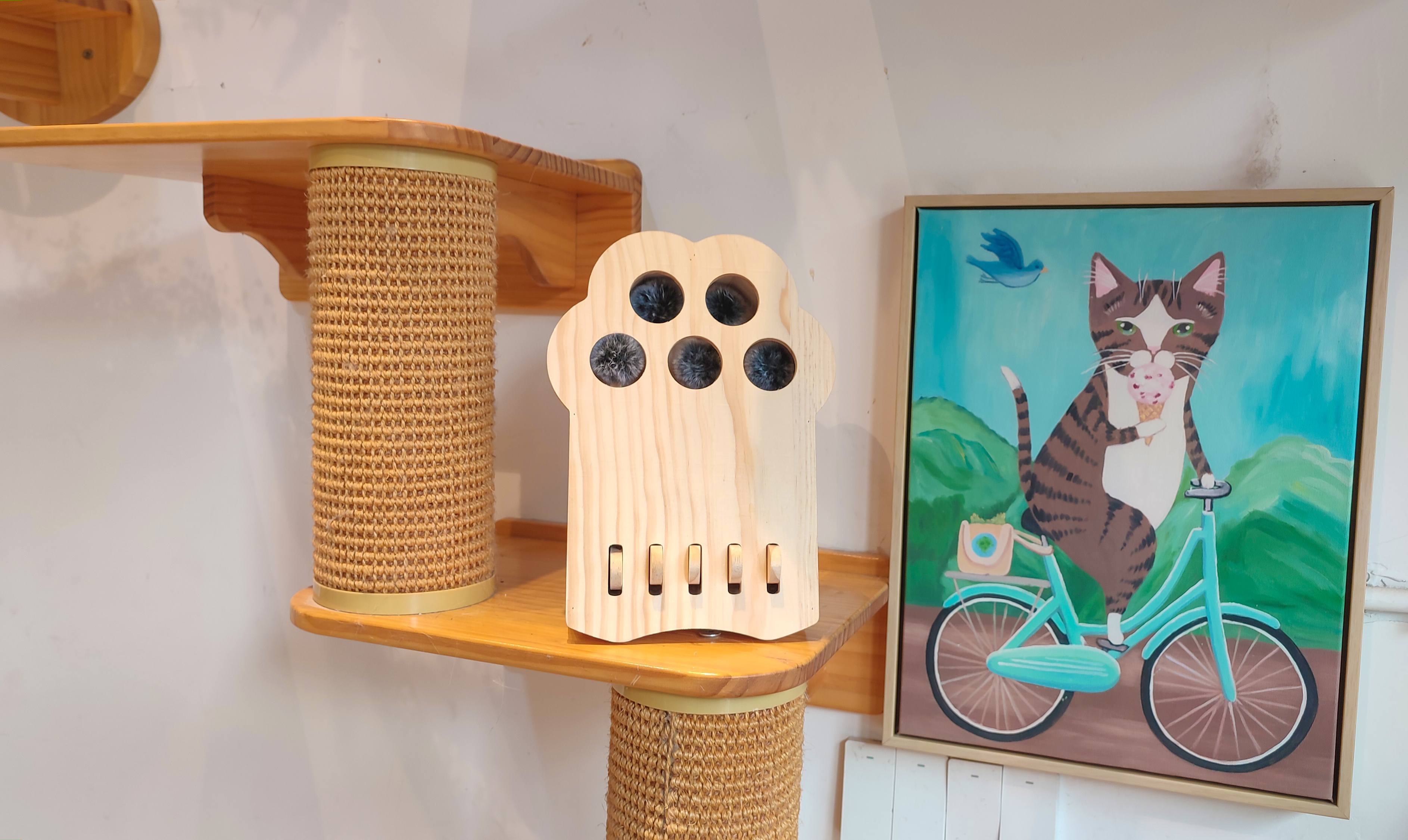 cat，Pets，Kitty，Meow，Toys，Whac-A-Mole，woodiness，interaction，