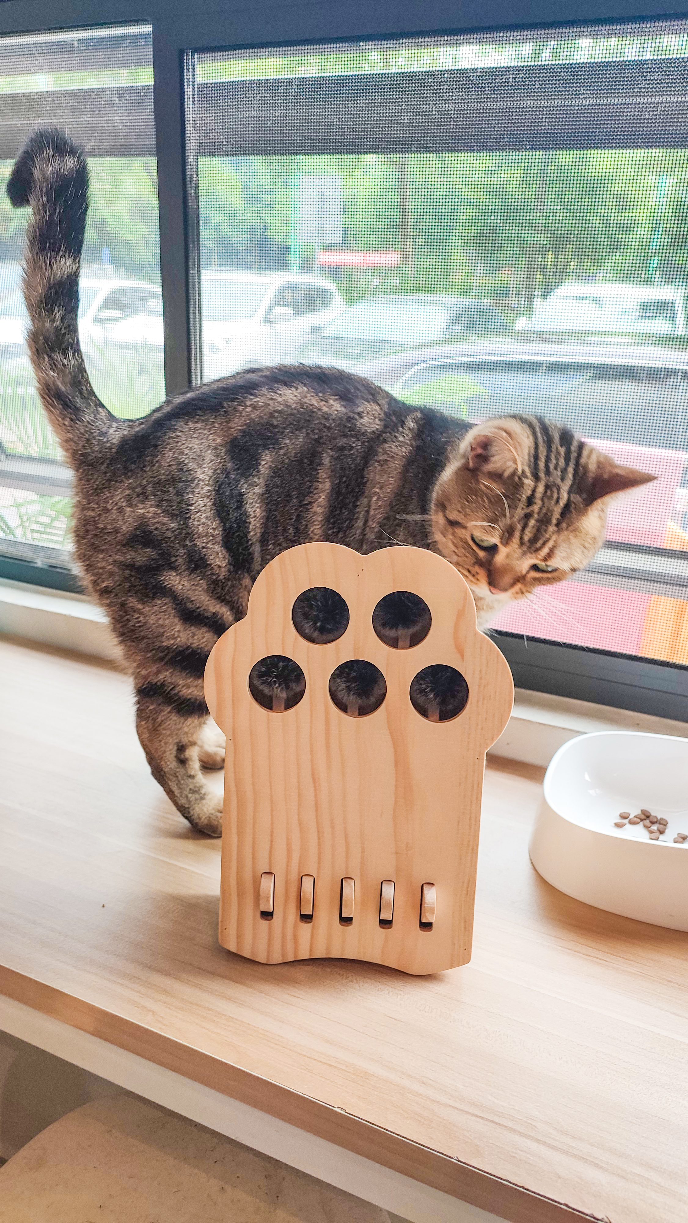 cat，Pets，Kitty，Meow，Toys，Whac-A-Mole，woodiness，interaction，