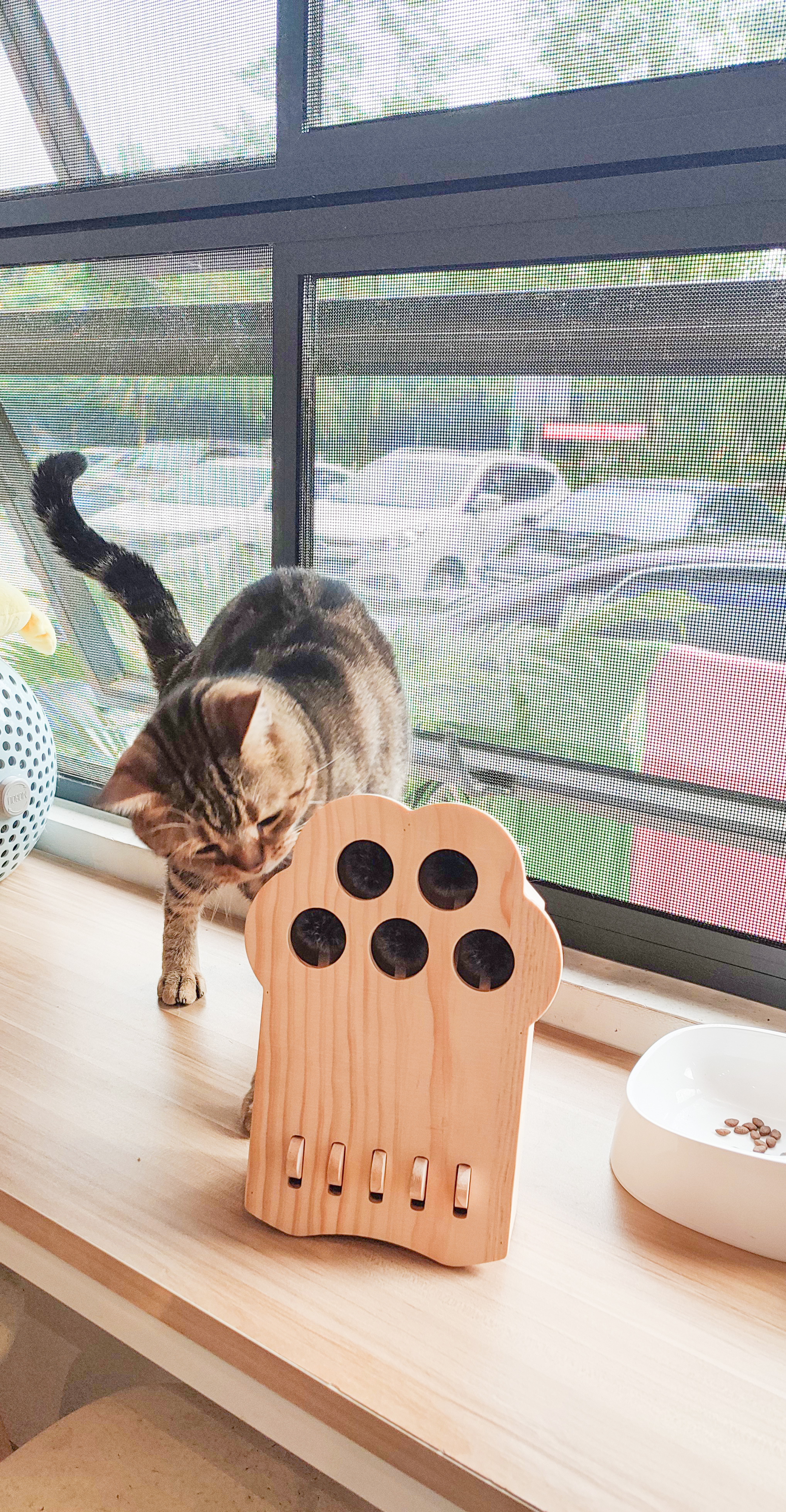cat，Pets，Kitty，Meow，Toys，Whac-A-Mole，woodiness，interaction，