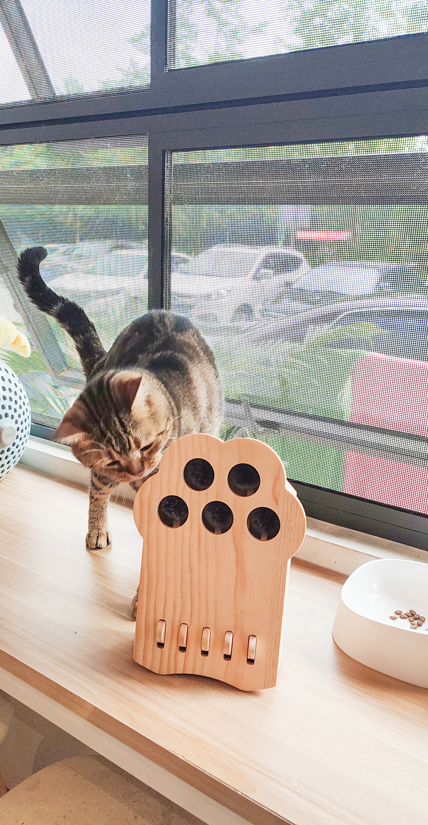 cat，Pets，Kitty，Meow，Toys，Whac-A-Mole，woodiness，interaction，