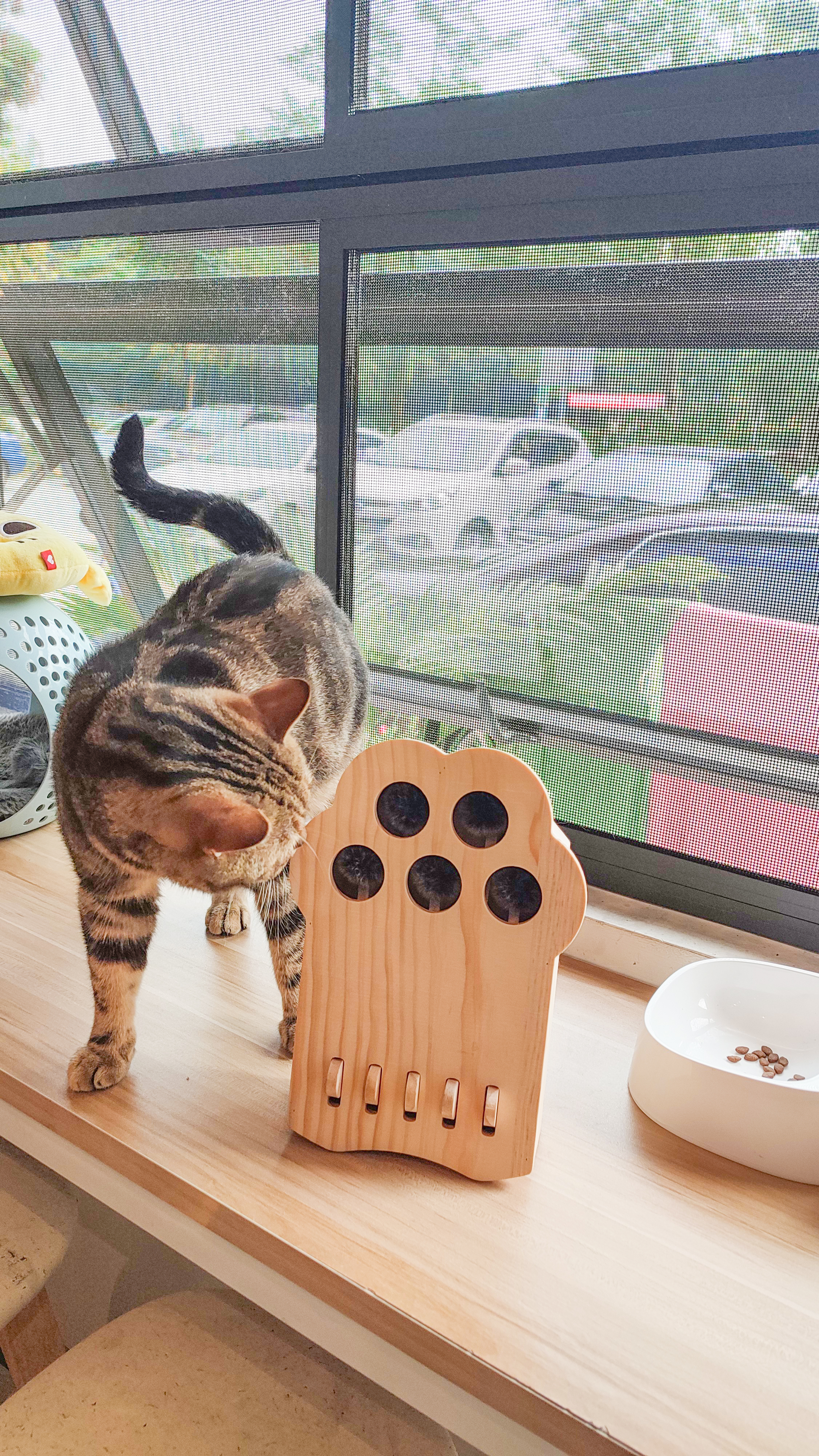 cat，Pets，Kitty，Meow，Toys，Whac-A-Mole，woodiness，interaction，