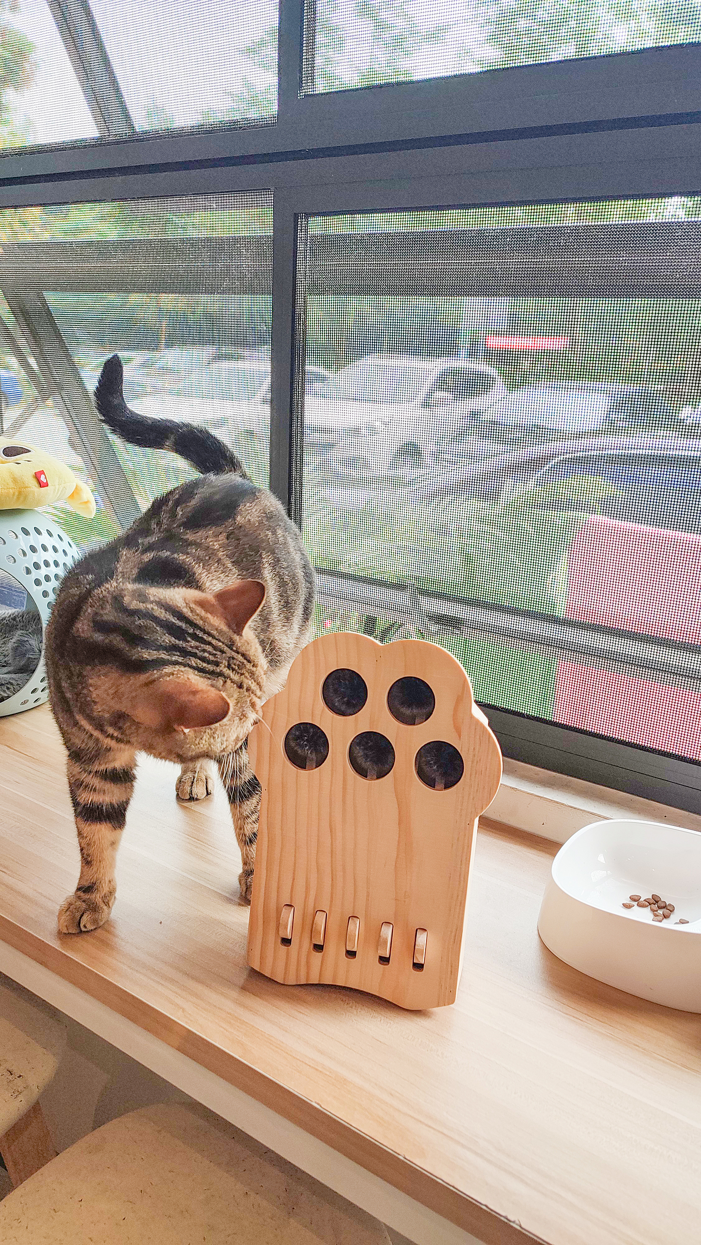 cat，Pets，Kitty，Meow，Toys，Whac-A-Mole，woodiness，interaction，