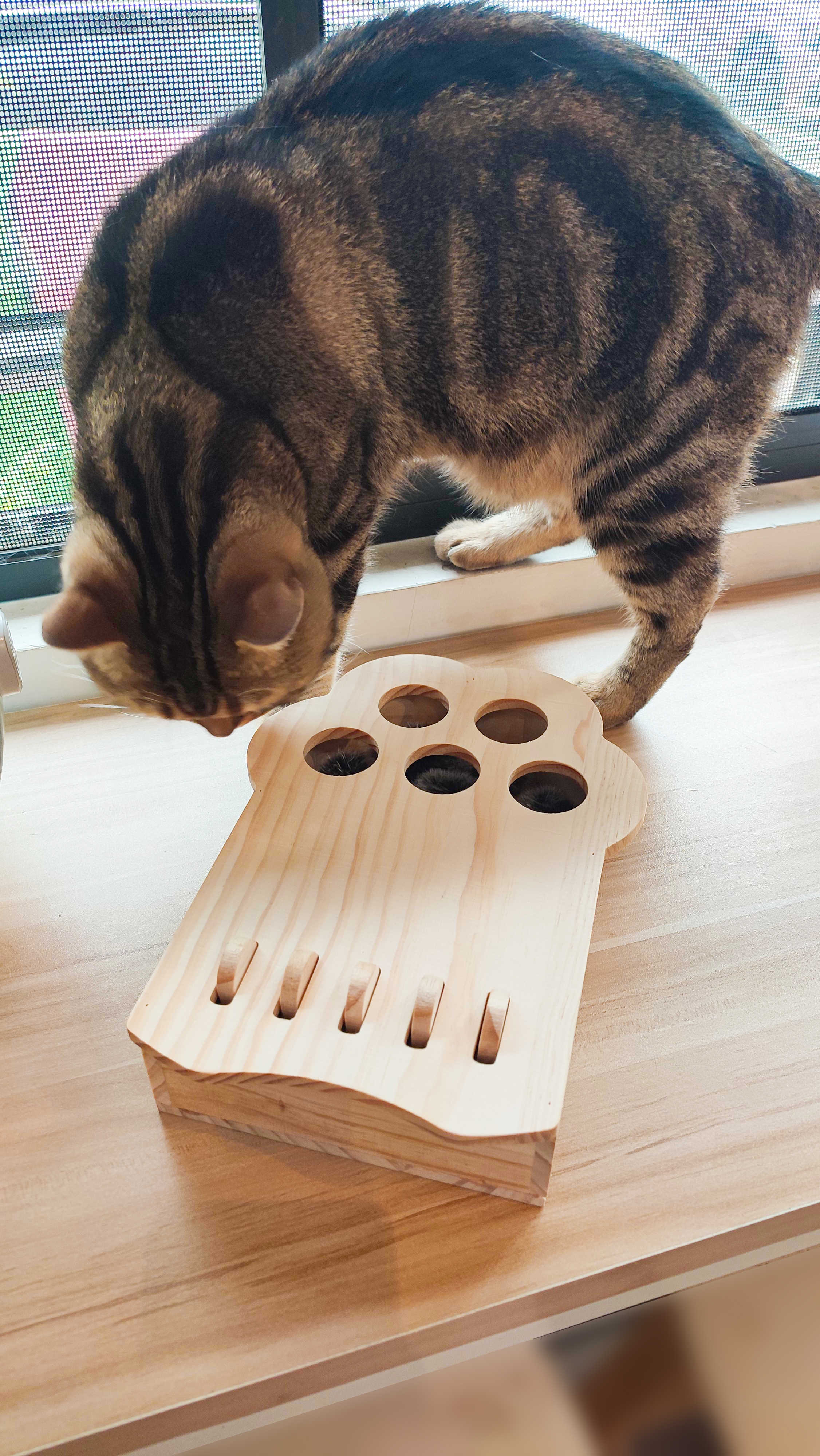 cat，Pets，Kitty，Meow，Toys，Whac-A-Mole，woodiness，interaction，