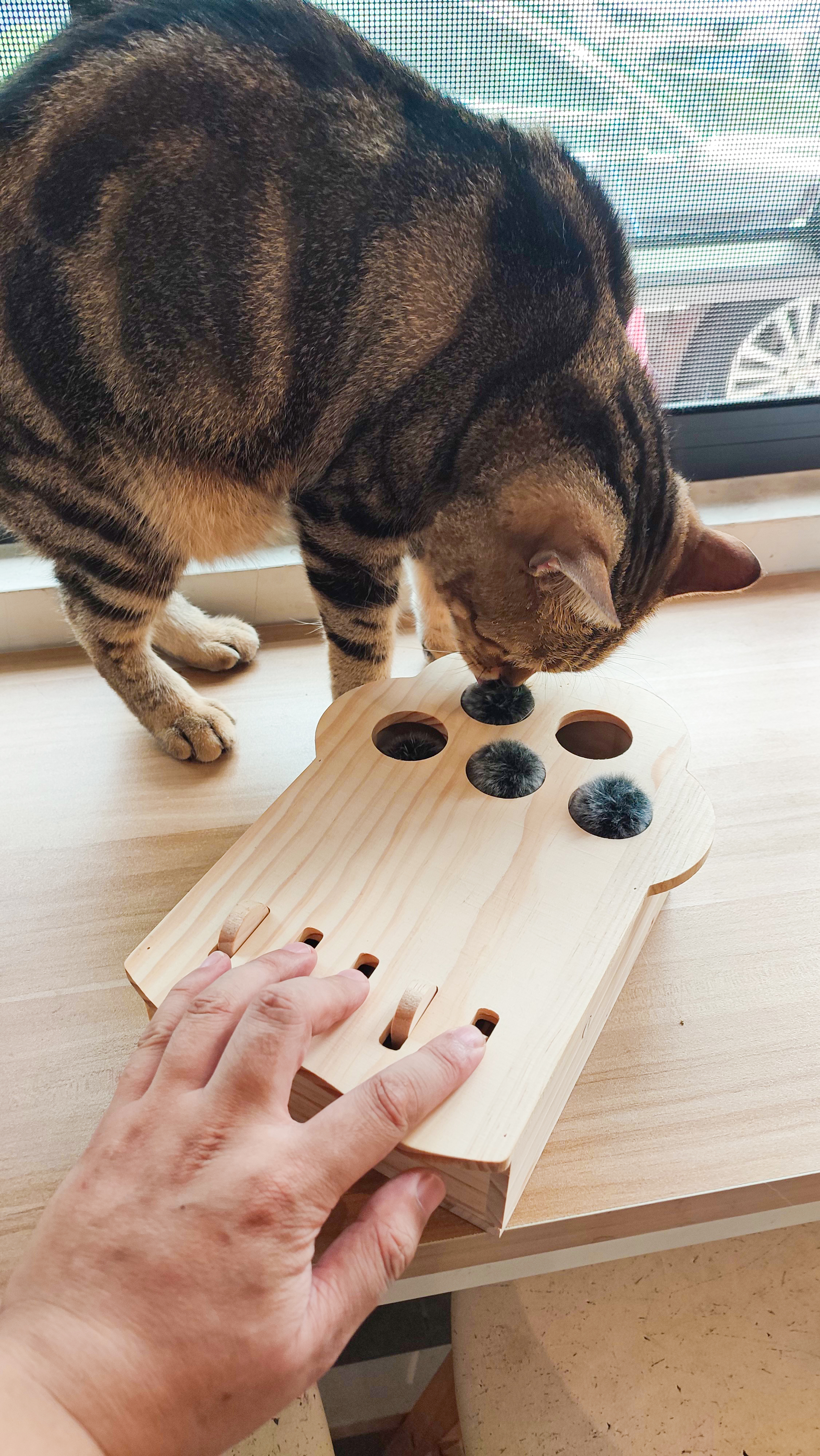 cat，Pets，Kitty，Meow，Toys，Whac-A-Mole，woodiness，interaction，