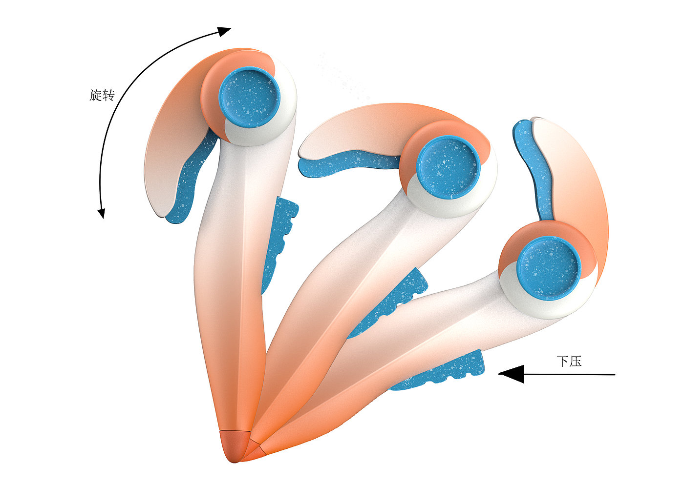 Toucan release design，Toy design，