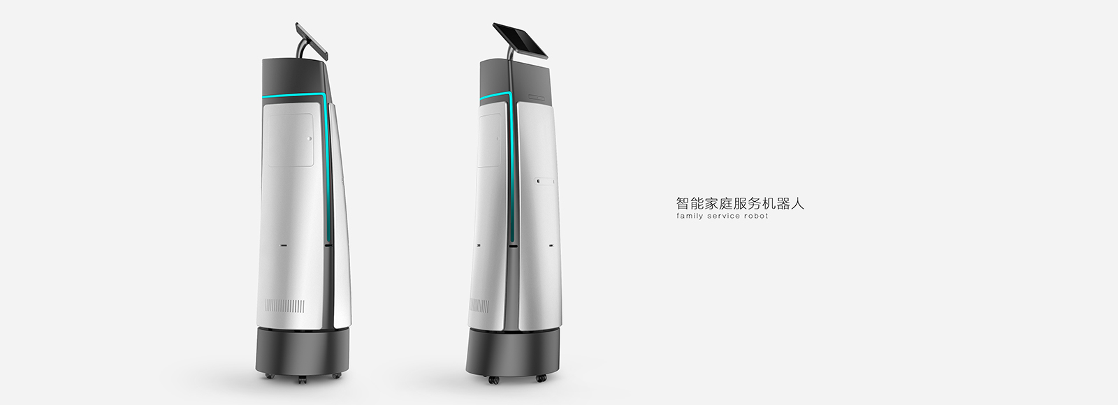 robot，domestic service，