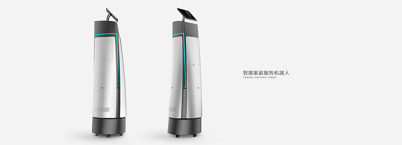 robot，domestic service，