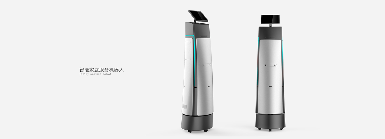 robot，domestic service，