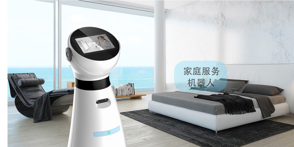 robot，domestic service，