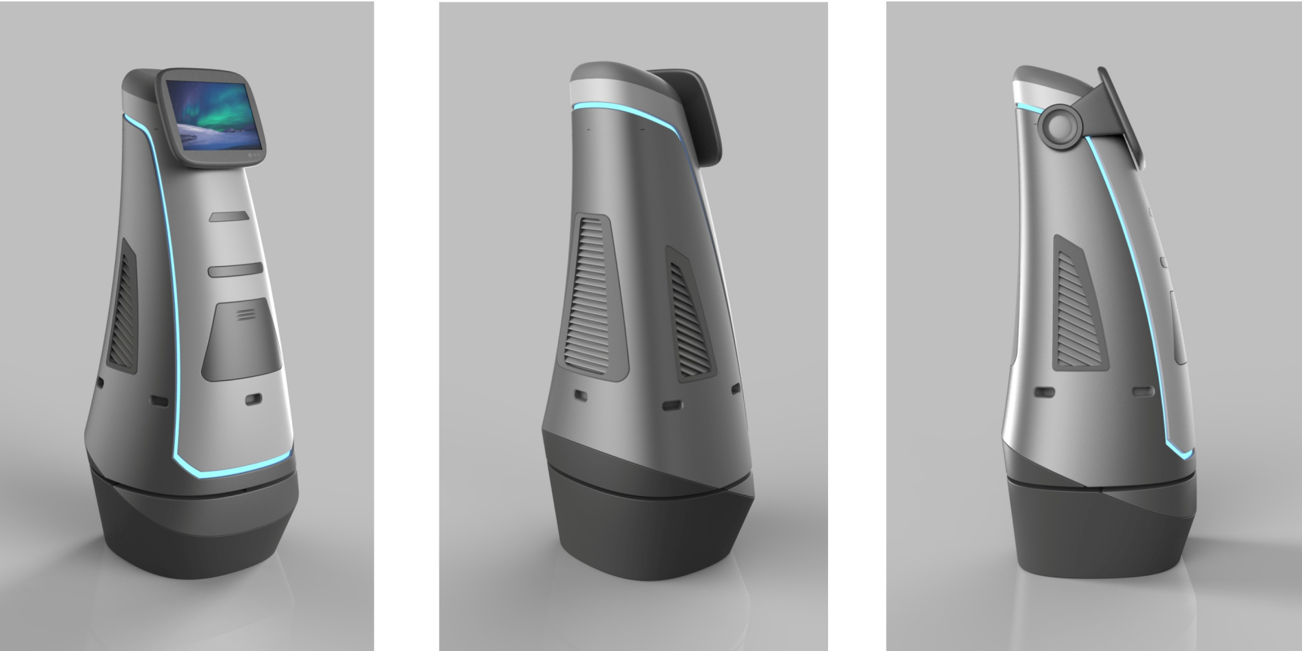 robot，domestic service，