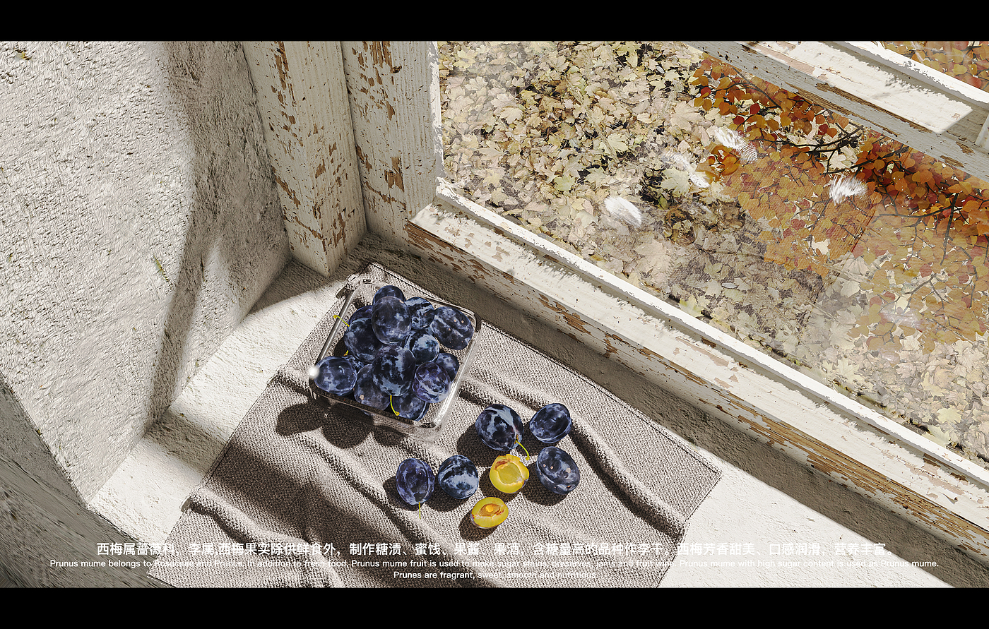 keyshot，Render，