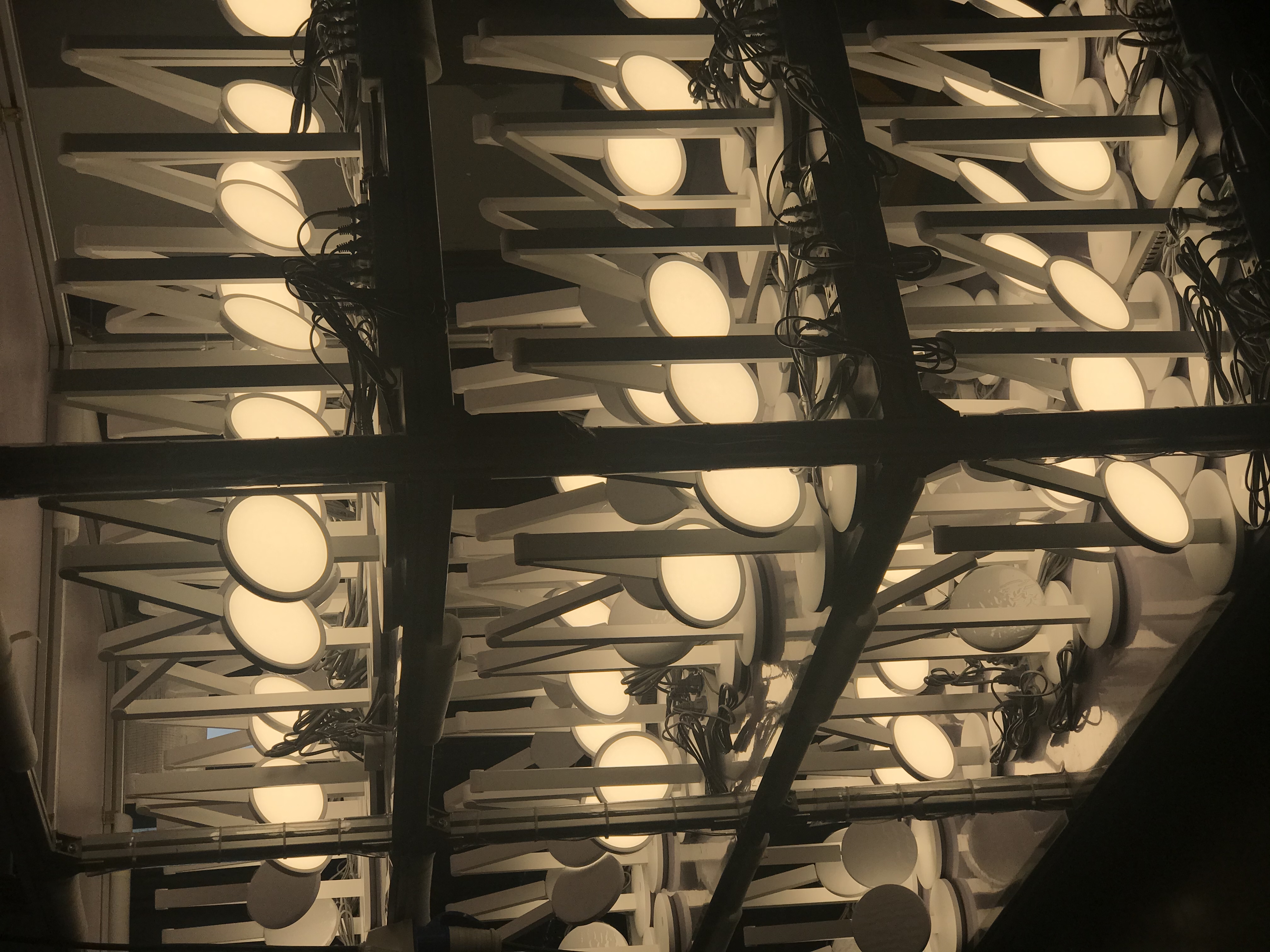 Philips，Class AA illuminance，philips，Eye protection desk lamp，