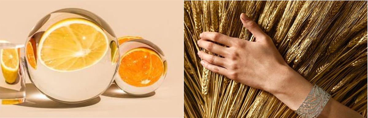 product design，Visual design，Glass，Chazitang，Seed extract，Handmade，