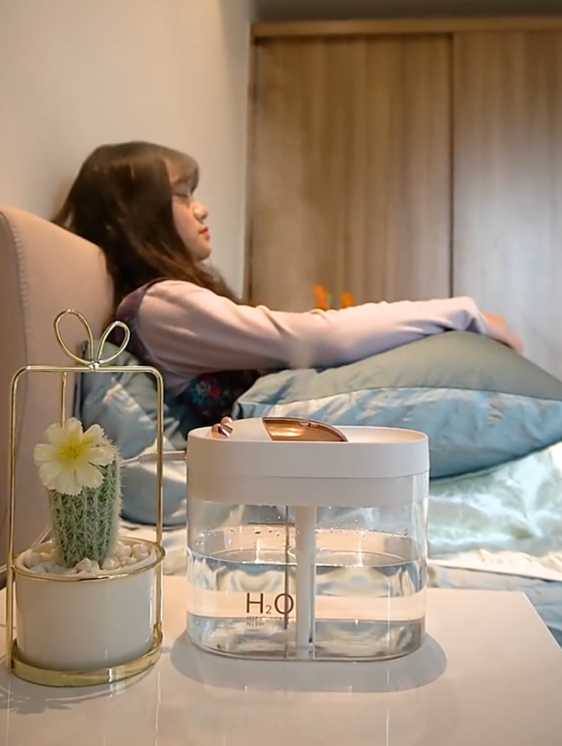 Humidifier，Double spray，cattle，electroplate，water，