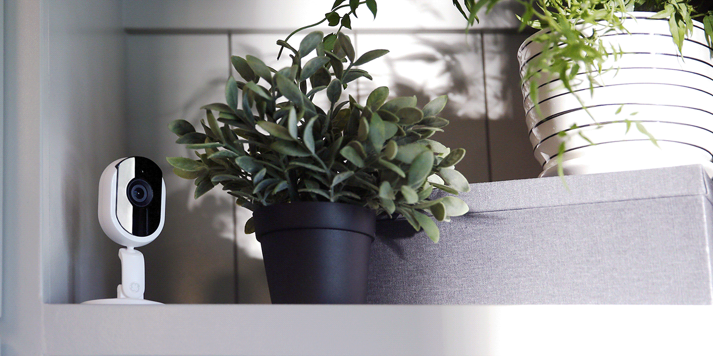 Cync，camera，high definition，indoor，photograph，