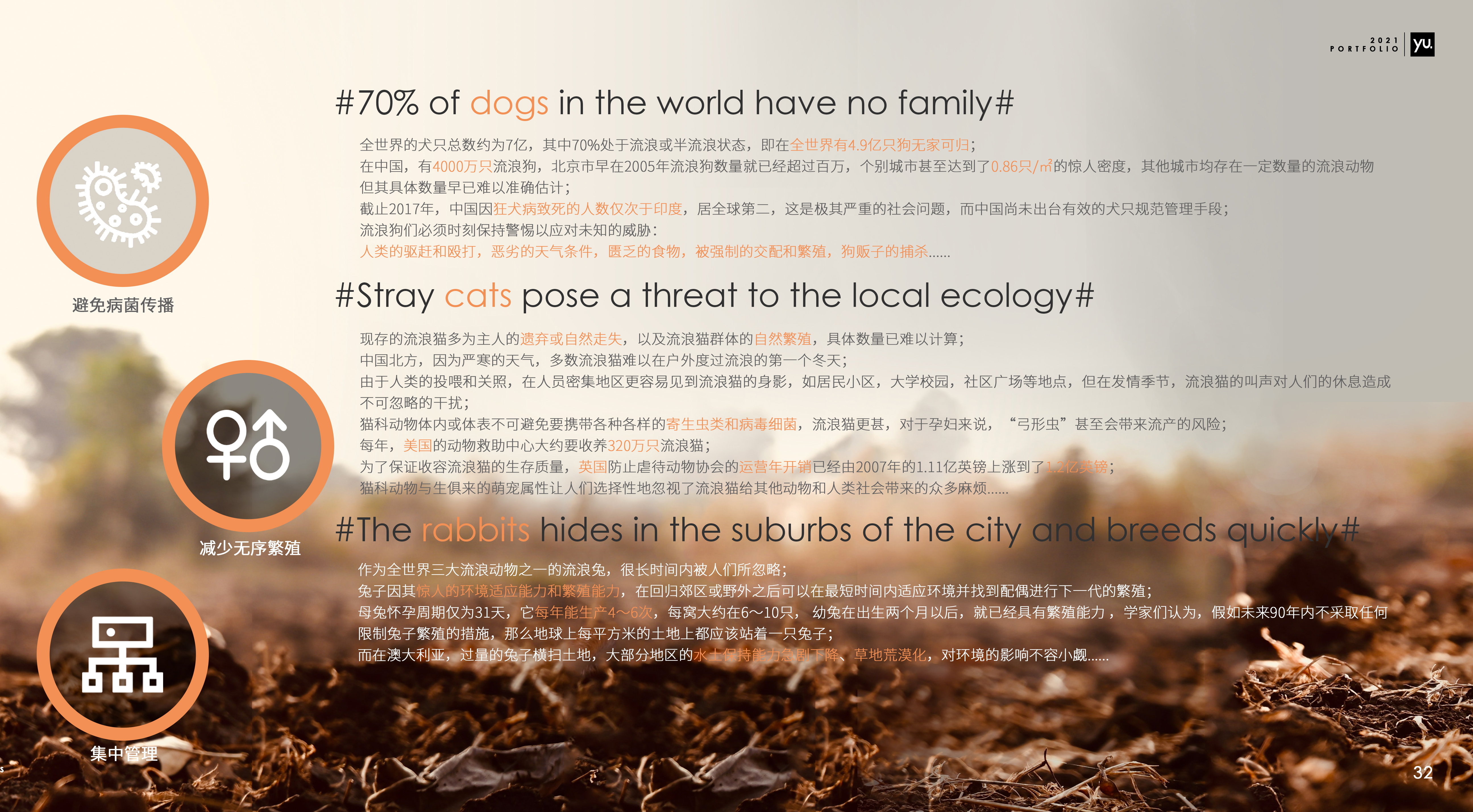 bench，communal facilities，Stray animals，App Design，modularization，stray dog，Man and society，humanistic concern，