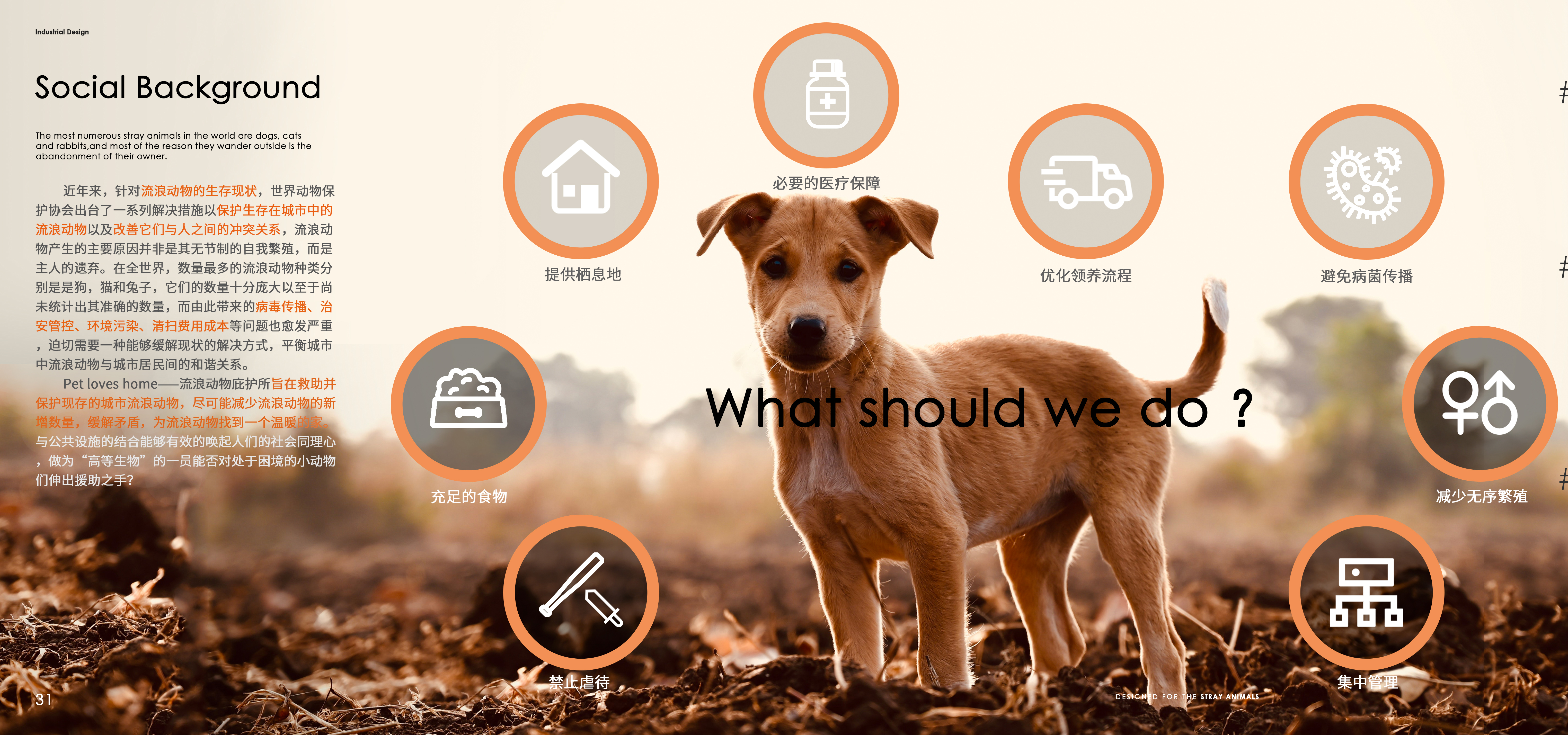 bench，communal facilities，Stray animals，App Design，modularization，stray dog，Man and society，humanistic concern，