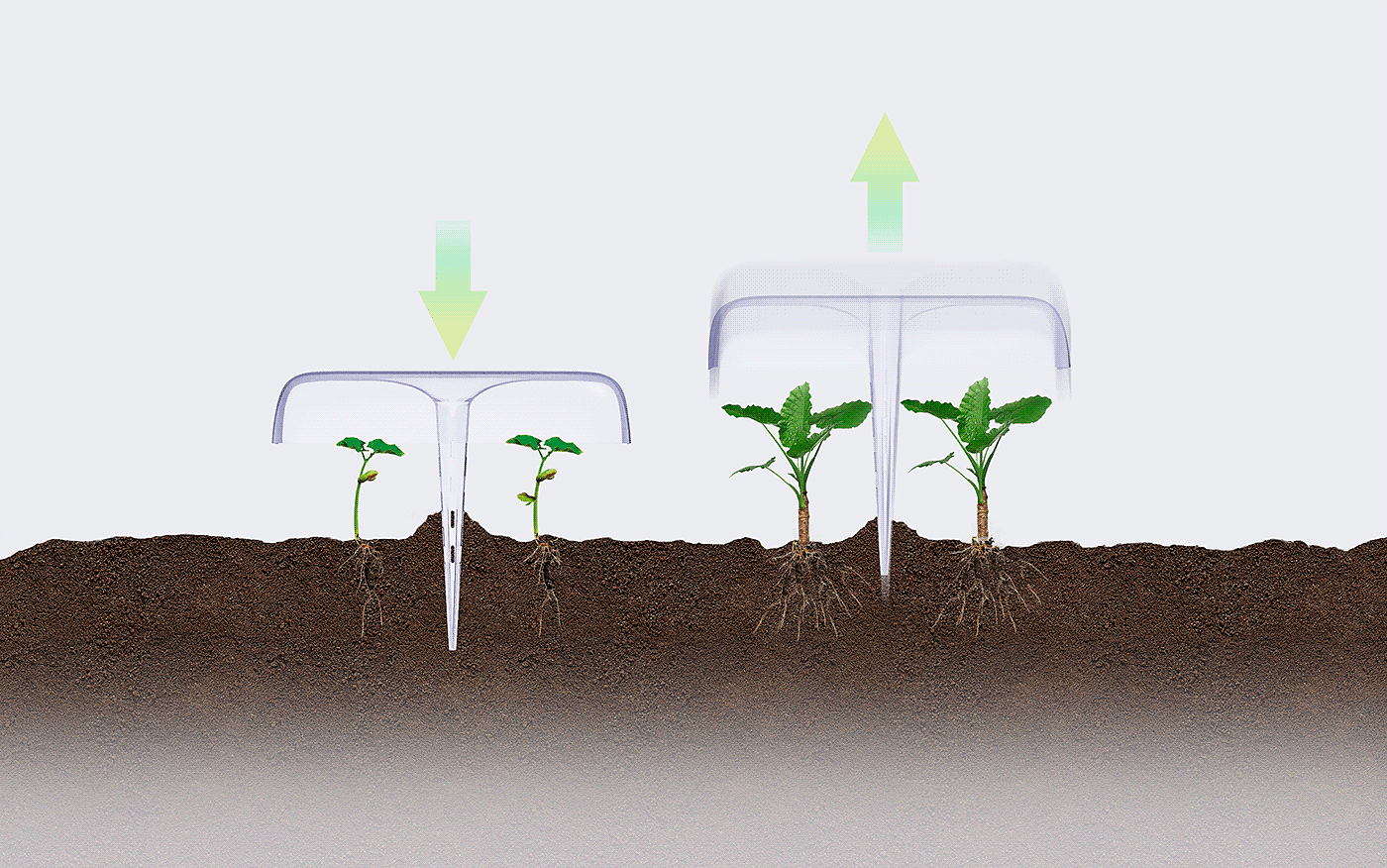 Agrodome，便携，模块化，农作物，种植，堆叠，