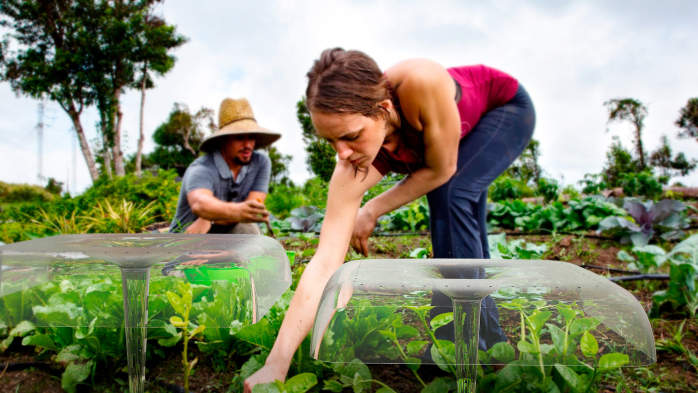 Agrodome，Portable，modularization，crops，plant，Stack，