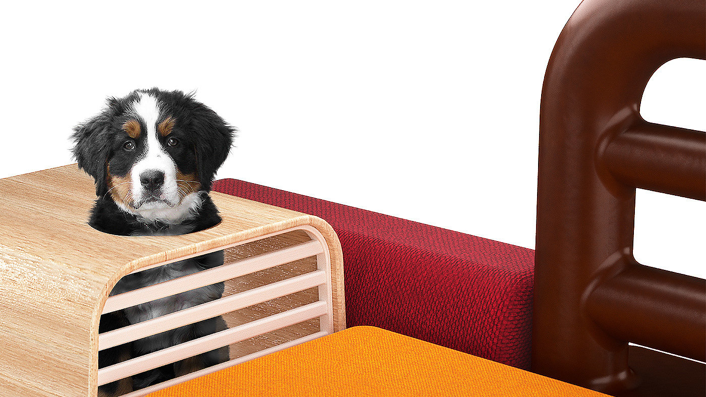 The dog & family，Multifunctional furniture，Modular design，