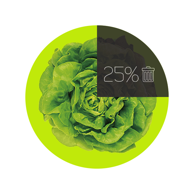 Kitchen supplies，Fruit preservation，Greensaver，accelerate the ripening，Absorption filtration，