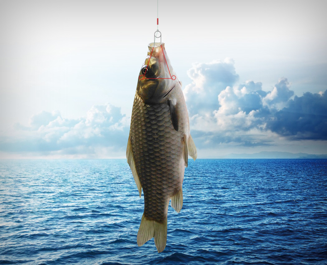 2017 red dot award，Fishing hook，outdoors，motion，tool，Tool design，