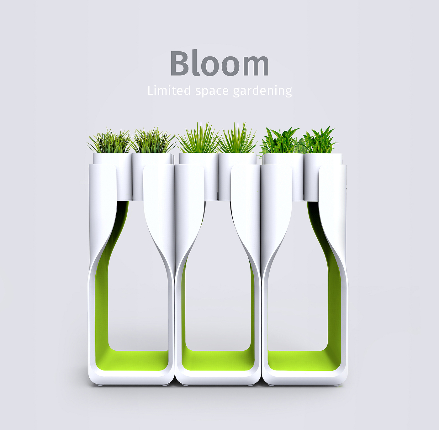 hanging garden，bloom，fresh，