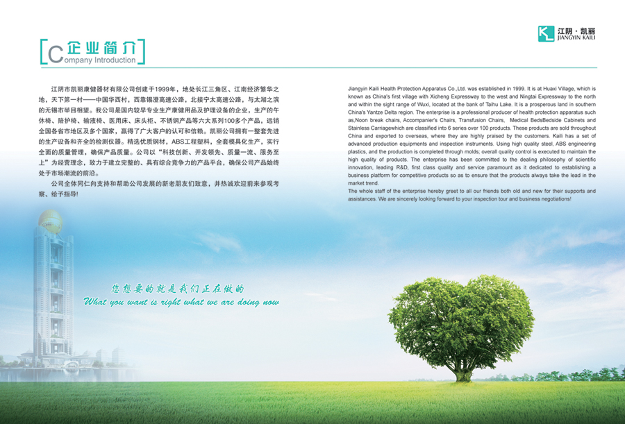 medical care，domestic，