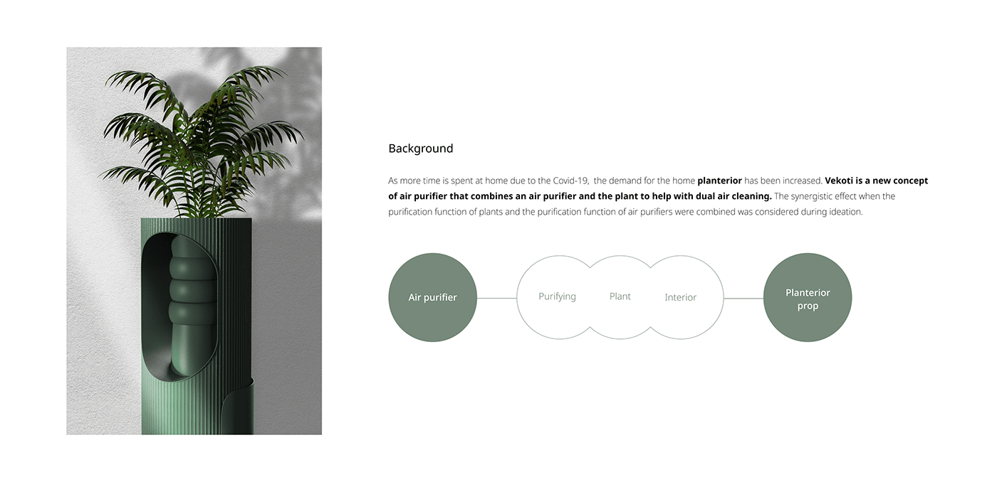 flower，air cleaner，Botany，