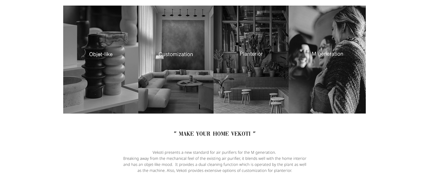 flower，air cleaner，Botany，