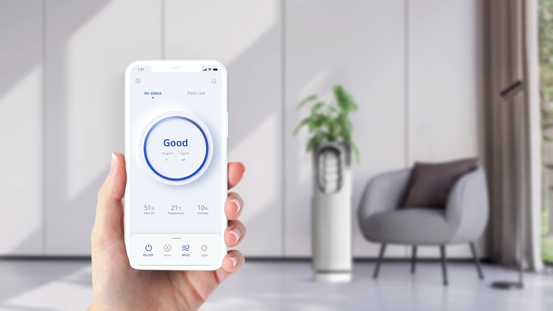 flower，air cleaner，Botany，