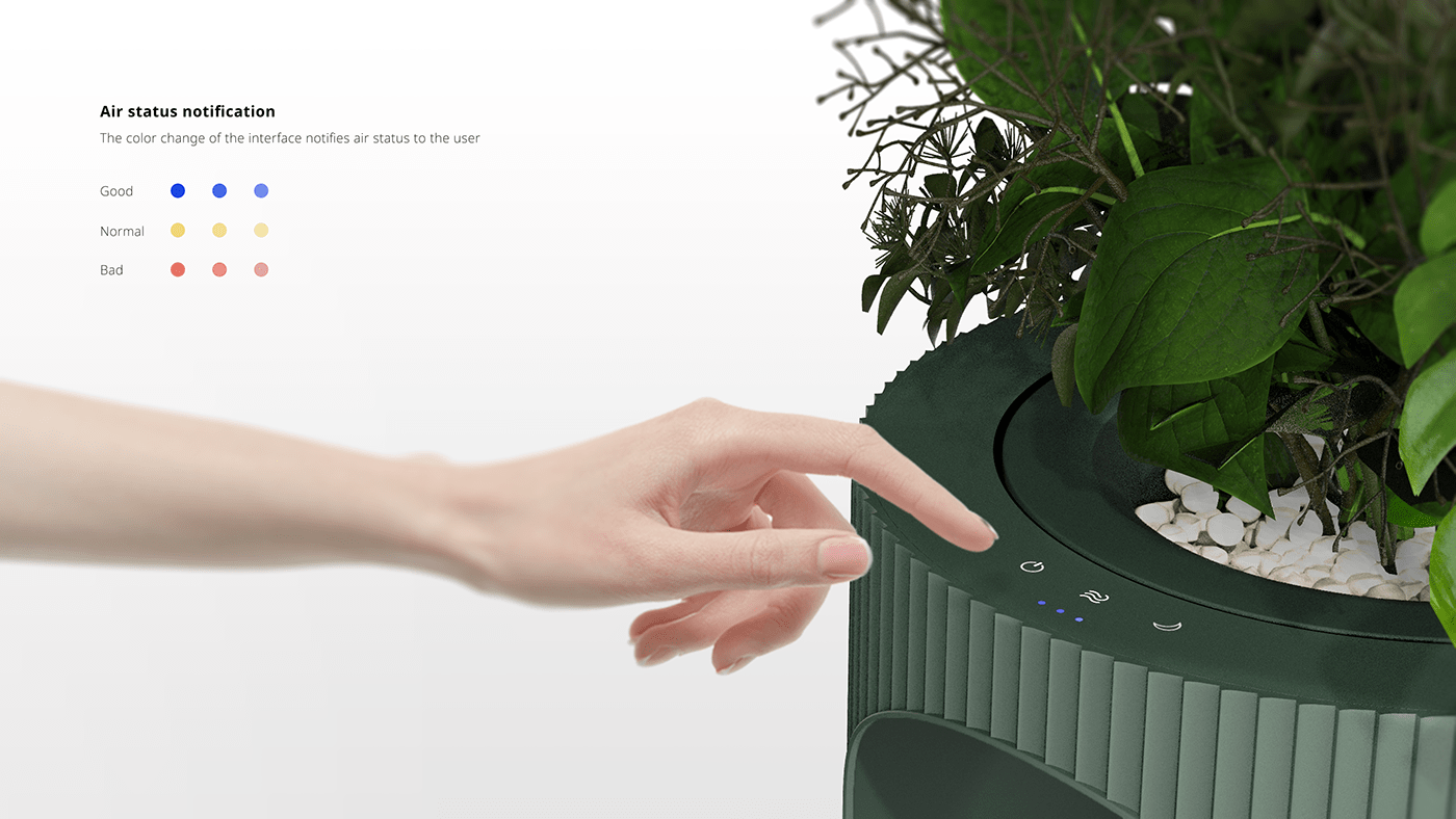 flower，air cleaner，Botany，