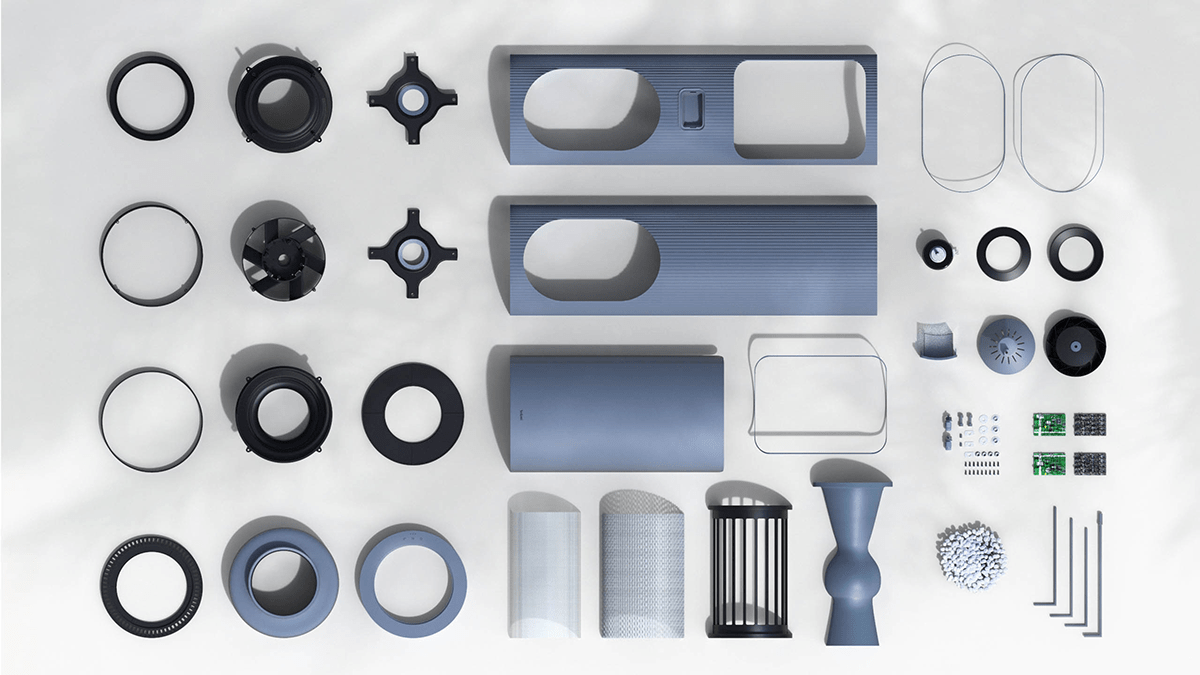 flower，air cleaner，Botany，