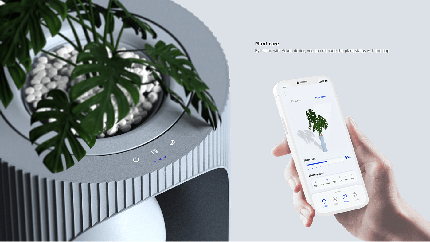 flower，air cleaner，Botany，