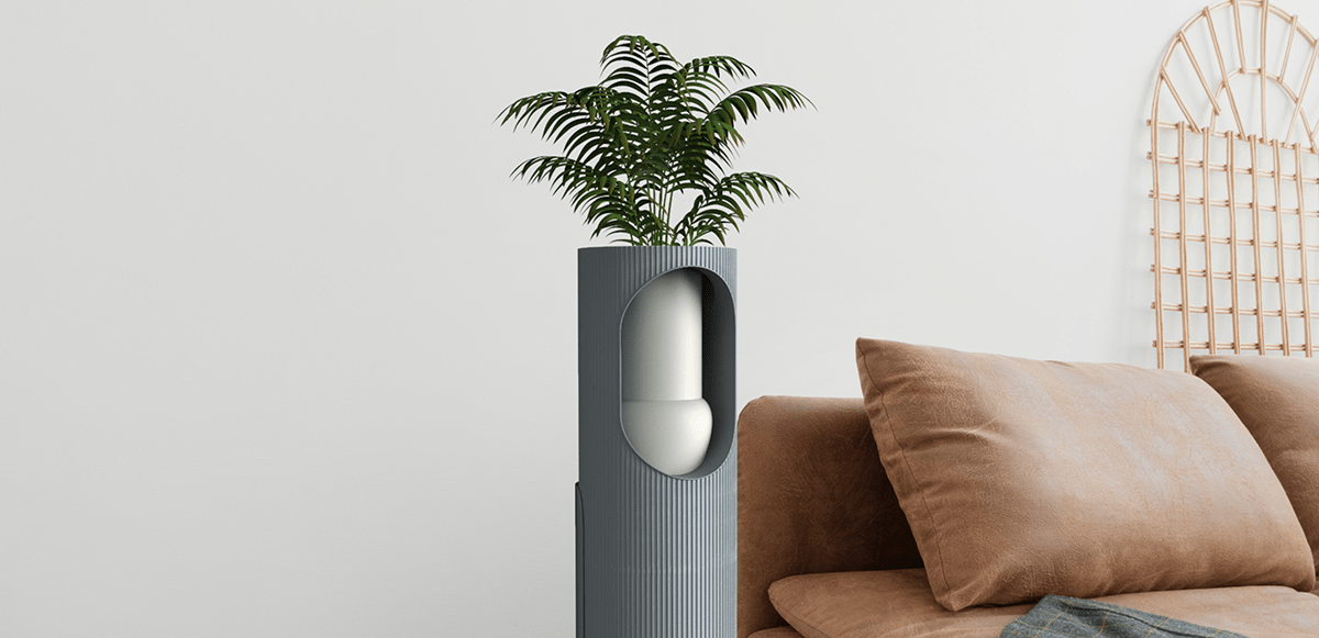 flower，air cleaner，Botany，