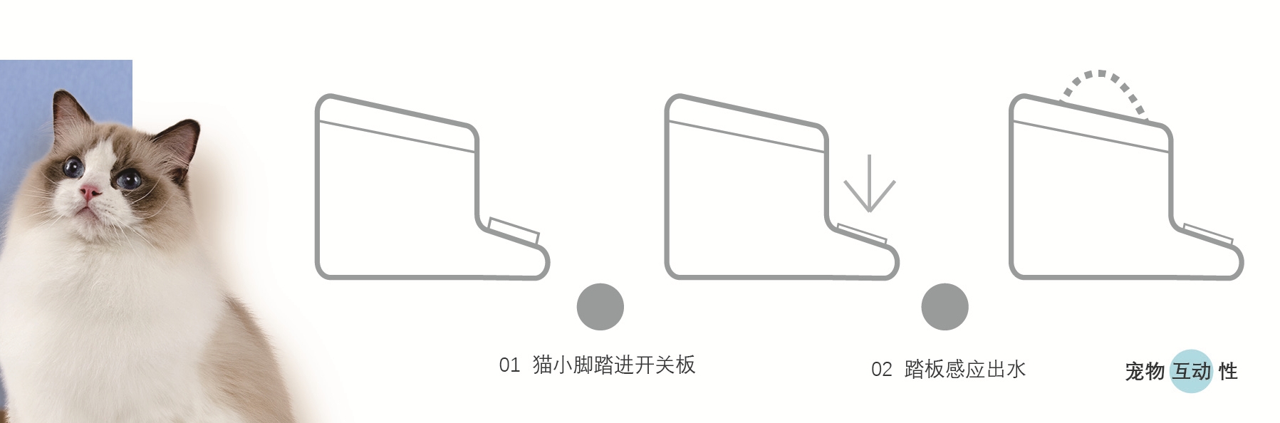 Pets，Pet water dispenser，product design，Pet outdoor water dispenser，