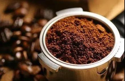 sustainable，environment protection，