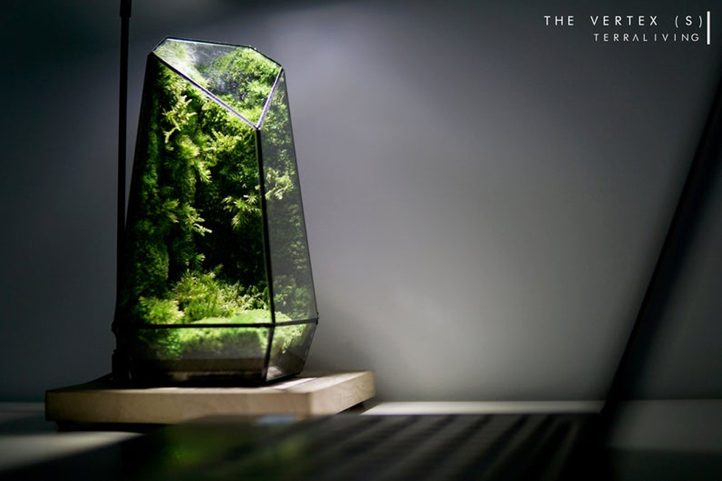 TerraLiving，Glass container，Green environmental protection，Vertex Zero，Scenery，