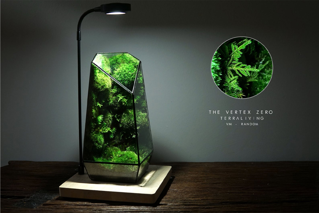 TerraLiving，Glass container，Green environmental protection，Vertex Zero，Scenery，
