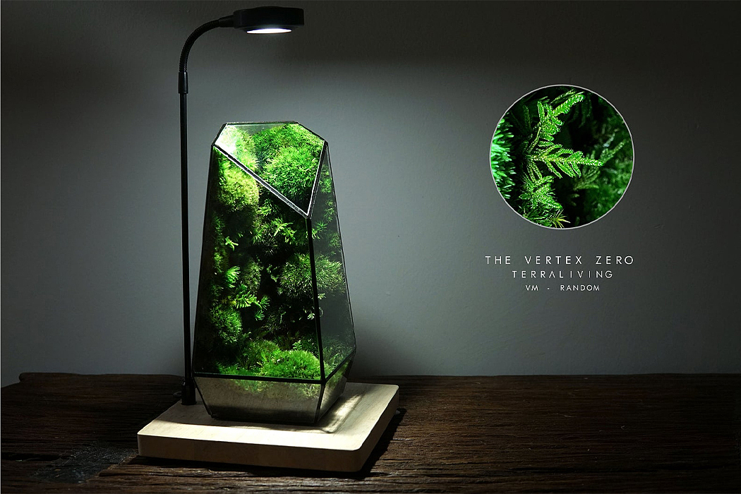 TerraLiving，玻璃容器，绿色环保，Vertex Zero，景观，