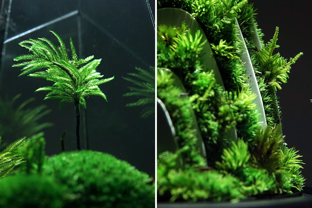 TerraLiving，Glass container，Green environmental protection，Vertex Zero，Scenery，