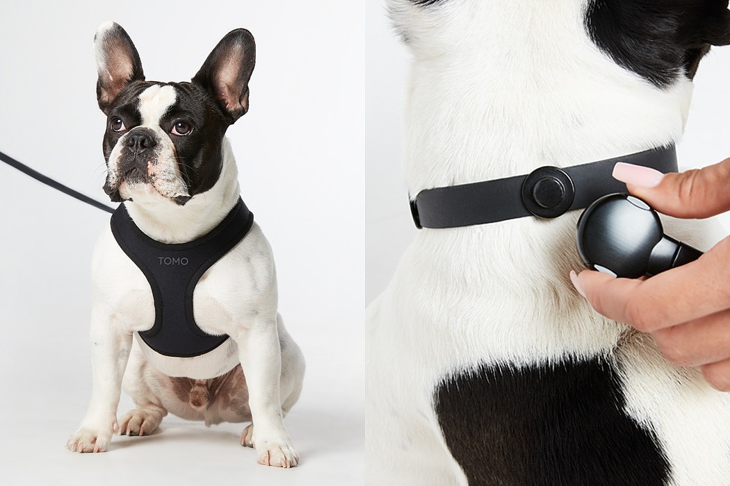 Pet products，DISPLAY，Pet equipment，product design，