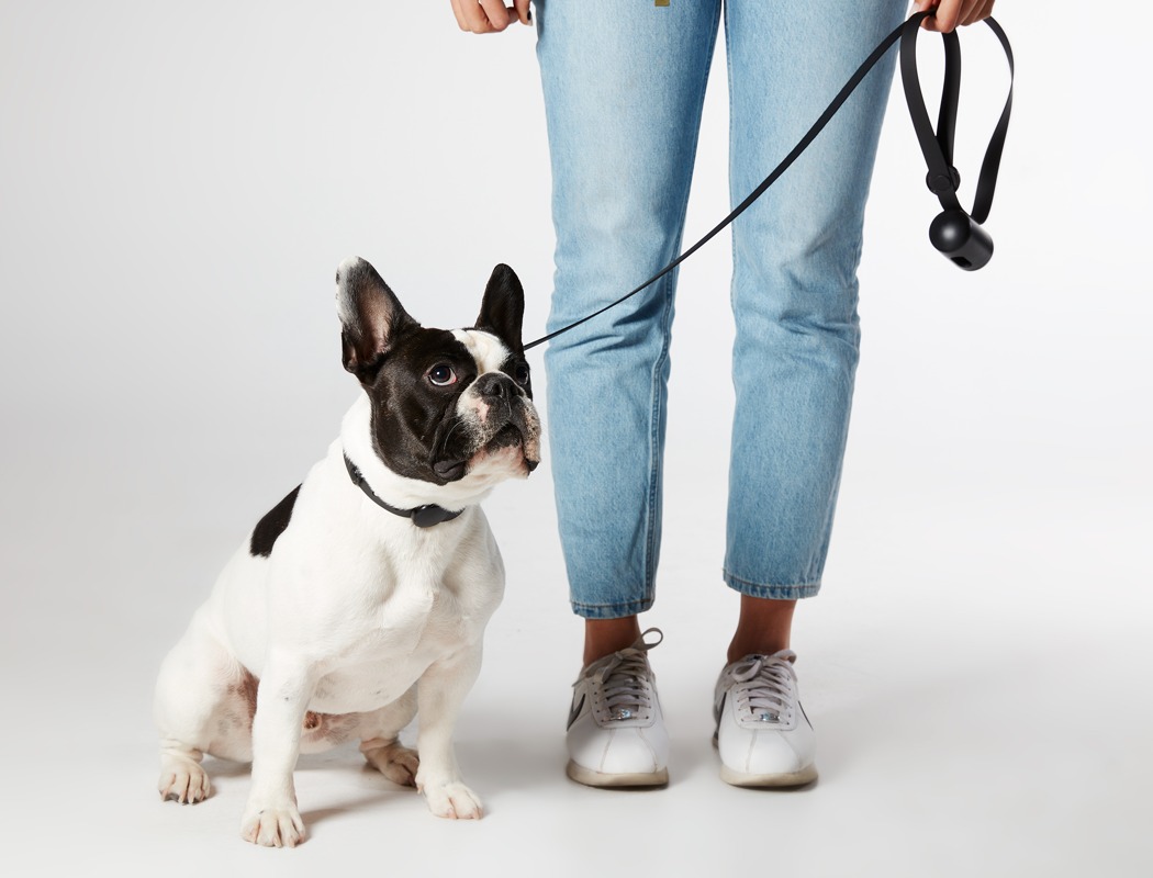 Pet products，DISPLAY，Pet equipment，product design，