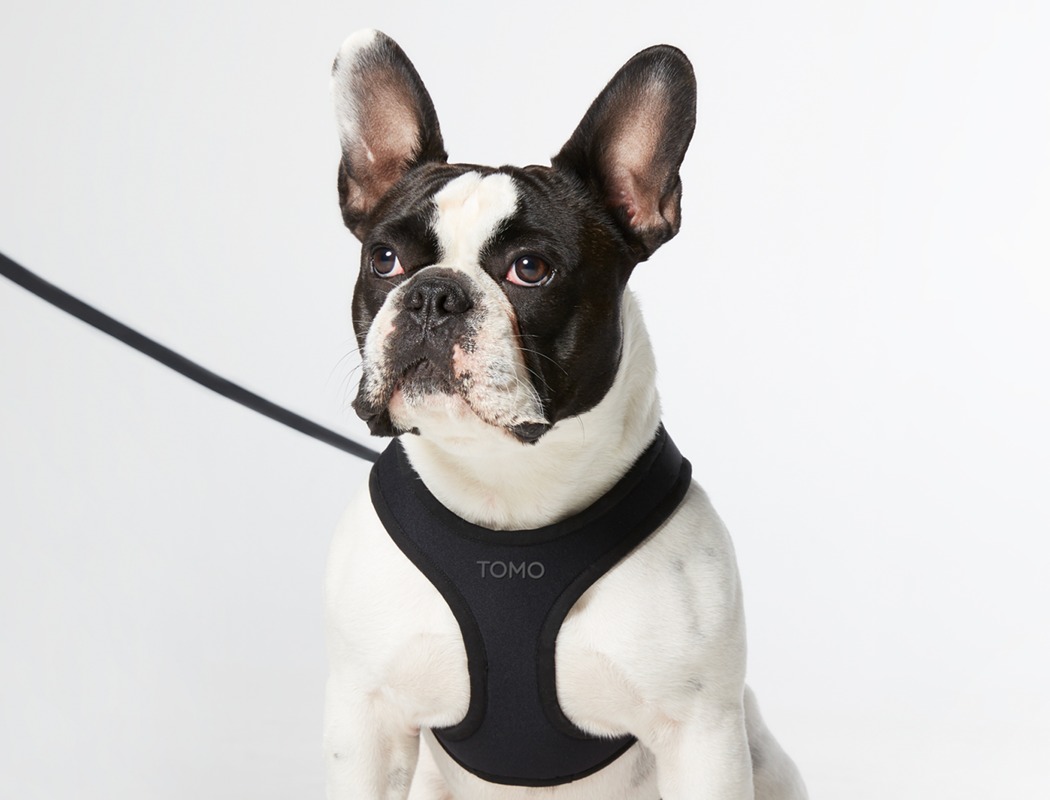 Pet products，DISPLAY，Pet equipment，product design，