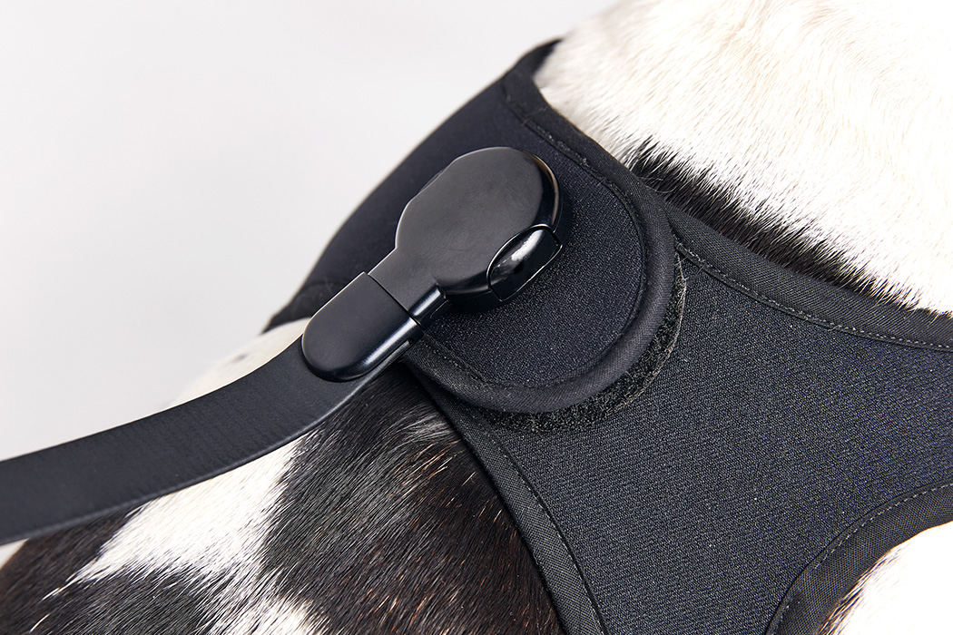 Pet products，DISPLAY，Pet equipment，product design，